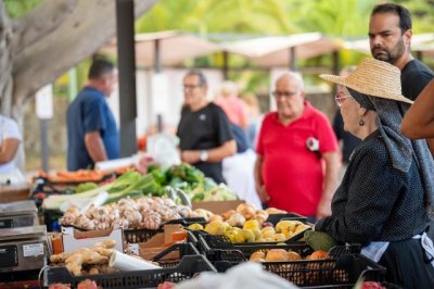 El D&iacute;a de los Mercados cumple con &eacute;xito su objetivo de promocionar el producto local