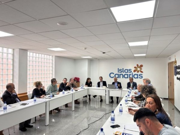 El Gobierno reúne a los cabildos para recoger propuestas al anteproyecto de Ley del Uso Turístico de Viviendas