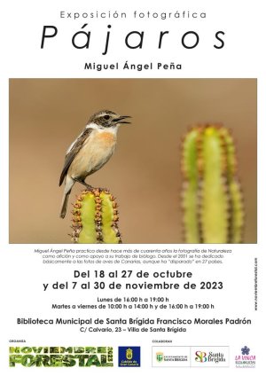 La Villa de Santa Brígida acoge la Exposición “Pájaros”, de Miguel Ángel Peña, dentro del marco de &quot;Noviembre Forestal 2023&quot;