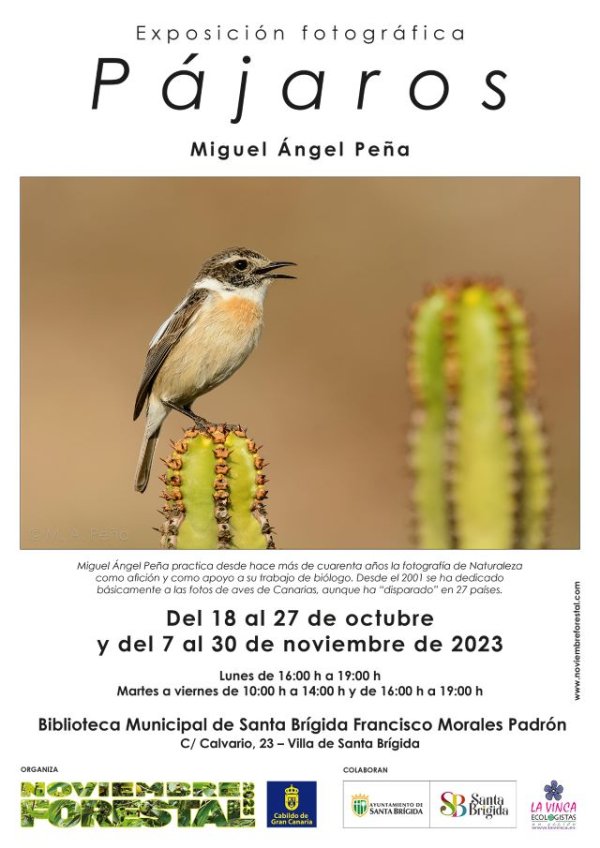 La Villa de Santa Brígida acoge la Exposición “Pájaros”, de Miguel Ángel Peña, dentro del marco de &quot;Noviembre Forestal 2023&quot;