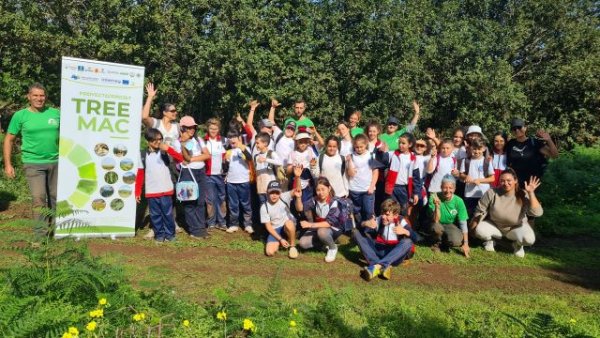 El proyecto TREEMAC cierra el año 2022 con la plantación de más de 10.000 ejemplares autóctonos en Gran Canaria