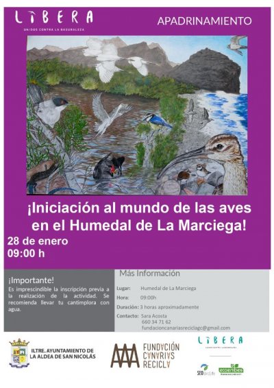 La Aldea: El humedal de La Marciega acoge este sábado la actividad de “iniciación al mundo de las aves”