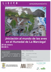 La Aldea: El humedal de La Marciega acoge este s&aacute;bado la actividad de &ldquo;iniciaci&oacute;n al mundo de las aves&rdquo;