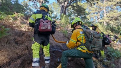 Los EIRIF forman en La Palma a agentes forestales de Madeira en la lucha y prevenci&oacute;n de incendios