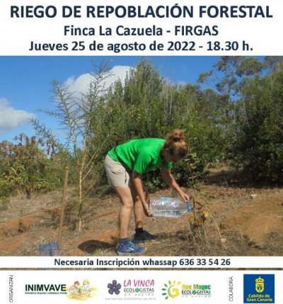 Villa de Firgas: Riego de apoyo a la Reforestaci&oacute;n de Monteverde en la Finca de La Cazuela
