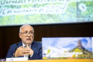 Gran Canaria congrega a una veintena de expertos en sus XXXI Jornadas Forestales