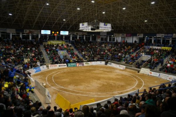 Reunión de la Junta Gestora de la Federación de Lucha Canaria