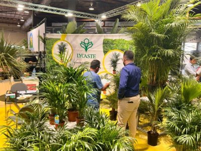 Las empresas de horticultura de Canarias esperan superar los 300.000 € de cifra de negocio en Iberflora