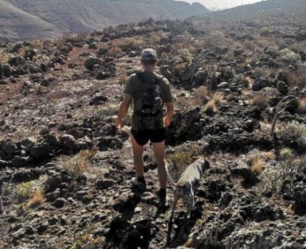 El Cabildo de la Gomera apertura seis campos de adiestramiento y entrenamiento de perros de caza controlada