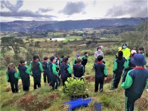 Foresta pone en marcha el proyecto ‘Árboles Escolares’ para concienciar sobre la conservación de la biodiversidad canaria