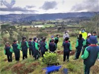 Foresta pone en marcha el proyecto &lsquo;&Aacute;rboles Escolares&rsquo; para concienciar sobre la conservaci&oacute;n de la biodiversidad canaria
