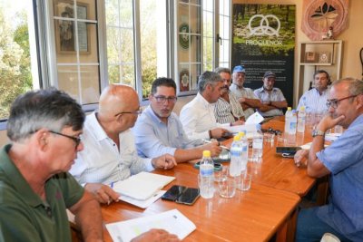 El Gobierno canario colaborará con los productores para impulsar la DOP Queso de Flor, Media Flor y Queso de Guía