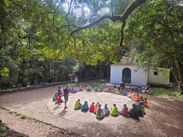 La Gomera: El Cabildo apertura una nueva edición del Campamento de Verano de El Cedro