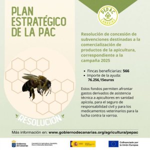 El Gobierno de Canarias concede subvenciones PEPAC para la comercialización de productos de la apicultura