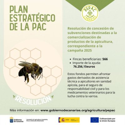 El Gobierno de Canarias concede subvenciones PEPAC para la comercialización de productos de la apicultura