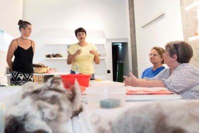 La Fedac ense&ntilde;a las t&eacute;cnicas ancestrales para el manejo de la lana virgen de grancanaria y sus m&uacute;ltiples aplicaciones