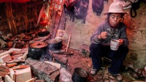 Cooperaci&oacute;n y desarrollo. Sector Primario: &iquest;Crisis alimentaria o de precios? (VIII)