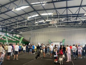 En la Villa de Moya disfrutamos del ‘I Concurso Nacional Canino’