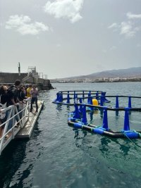 Estudiantes de carreras tecnol&oacute;gicas conocen de primera mano el proyecto AquaWind coordinado por ACIISI