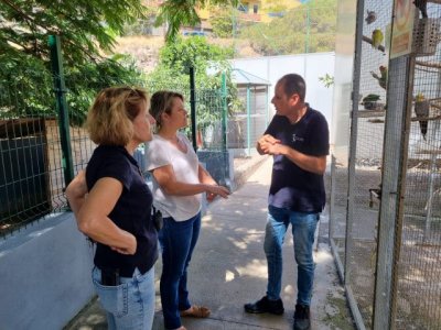 Gobierno de Canarias y Fundaci&oacute;n Neotr&oacute;pico impulsan la cr&iacute;a de insectos para la producci&oacute;n de piensos