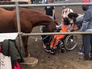 El Centro de Día Ezeró celebra el Día Internacional de las Personas con Discapacidad con actividades en El Hierro