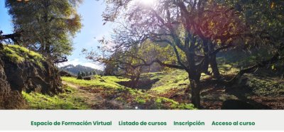 La Universidad Popular de Valleseco revoluciona la formación con una plataforma online de 500 cursos