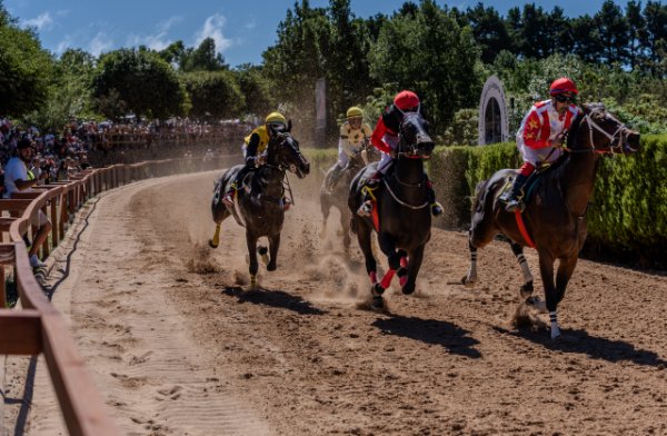 Valleseco galopa hacia una final de infarto en la IV Copa de H&iacute;pica San Vicente Ferrer 2026