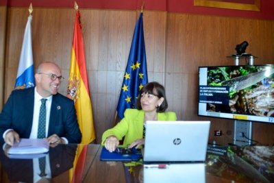 El Servicio Canario de Empleo presenta una nueva oferta formativa, espec&iacute;fica para La Palma