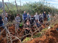 Valleseco fue escenario del taller pr&aacute;ctico de poda de diferentes cultivos de manzanos