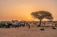 Patrimonio Cultural estrena el documental &lsquo;Huellas&rsquo; de Tarek Ode en El Hierro
