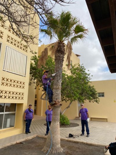 La formaci&oacute;n pr&aacute;ctica, vital para el desarrollo de los PFAE del Ayuntamiento de Puerto del Rosario