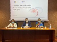 Sanidad pone en marcha una estrategia para abordar el dolor cr&oacute;nico no oncol&oacute;gico en Canarias