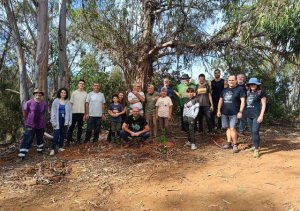 Firgas cuentas con 150 nuevas plantas gracias a la Repoblación Forestal en Familia