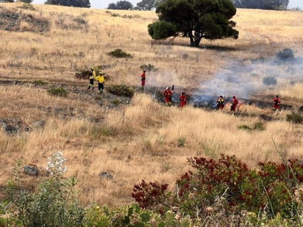 La Unidad Operativa de Fuegos Forestales del Cabildo forma a miembros de las UME canarias y del Estado en la prevención de incendios
