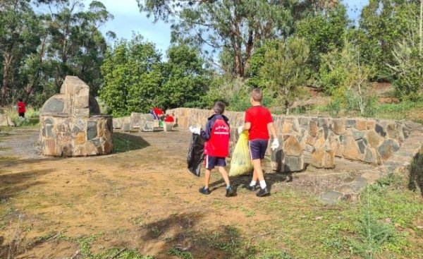 Foresta lleva a cabo diferentes acciones de reforestación y recogida de basuraleza junto con los alumnos del CEIP Valencia
