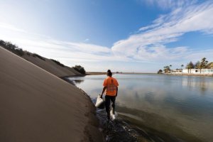 El Cabildo defiende la rica biodiversidad de Gran Canaria a través de un programa de lucha contra las especies exóticas invasoras