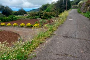 Valleseco ha aprobado las obras del Plan de Cooperación del Cabildo 2026