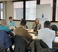 Mar&iacute;a Fern&aacute;ndez expone a las administraciones de Gran Canaria las claves del proceso participativo para elaborar la primera ley de movilidad sostenible de Canarias