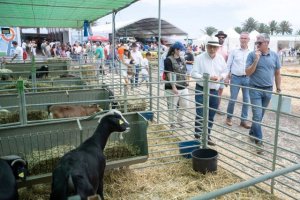 El primer &#039;Tenderete del baifo&#039; pone el broche final a la campaña para fomentar el consumo de carne de cabra