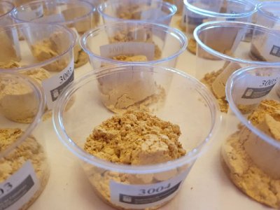 El Hierro acoge la celebraci&oacute;n del Concurso Oficial de Gofio Agrocanarias 2023