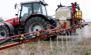 El sector agrario valora la renovación del uso del herbicida glifosato