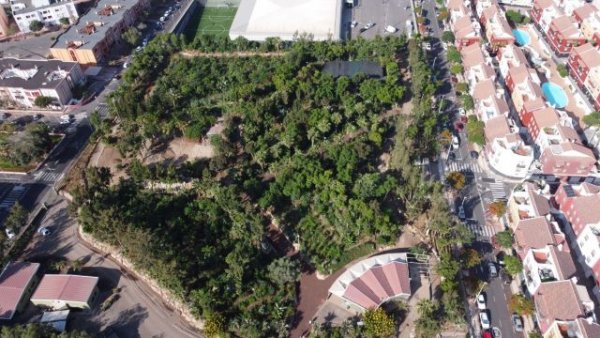 Parque Central de Adeje, un modelo de bosque productivo en Canarias