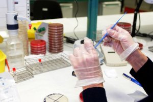 La Fundación Instituto de Investigación Sanitaria de Canarias obtiene un sello de calidad en recursos humanos