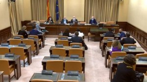 La Comisi&oacute;n del Congreso desoye al Consejo de Estado y resucita el pasaporte biol&oacute;gico