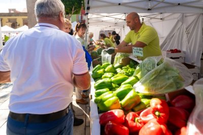 El Mercado Agrícola de Gáldar vuelve este domingo 8 de marzo con su apuesta firme por lo local