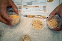 El Gobierno de Canarias convoca el Concurso Oficial de Gofios Agrocanarias 2025