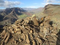 Descubren m&aacute;s de 50 nuevos yacimientos arqueol&oacute;gicos en el &aacute;mbito territorial de Amurga