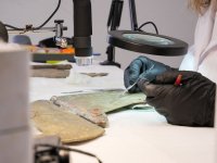 Profesionales en patrimonio cultural podr&aacute;n acogerse a los programas de movilidad cultural