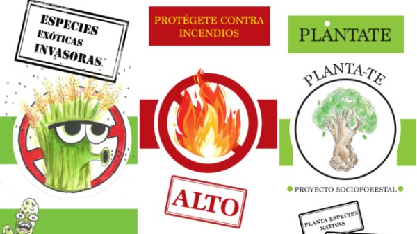 La Gomera: La Unidad de Medio Ambiente impulsa la concienciación ambiental ante incendios y especies invasoras
