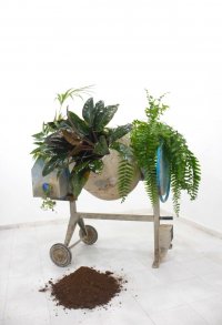 Exposici&oacute;n &lsquo;Plantamientos de interior&rsquo; de la artista Ana Beltr&aacute; en La Casa-Museo Le&oacute;n y Castillo de Telde